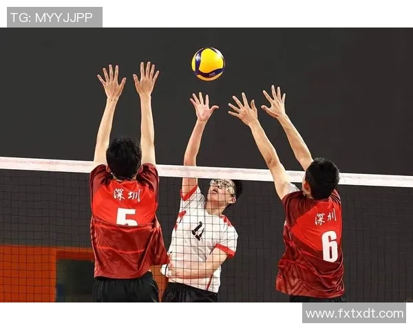 广州排球队的节奏解析与深度剖析展现排球魅力与团队协作的艺术